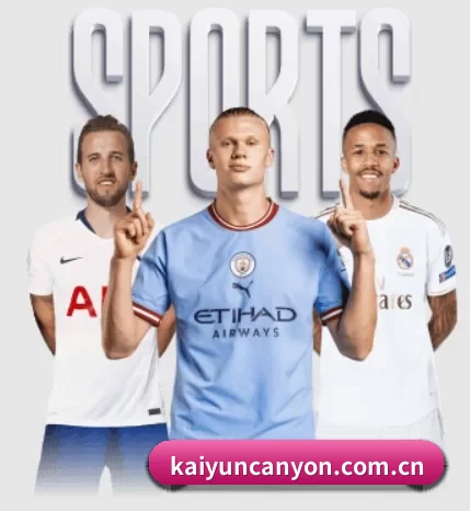 五大服务分区,信息按项目分类(Kaiyun)